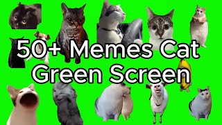 Cat Memes Green Screen Crazy Kat Memes