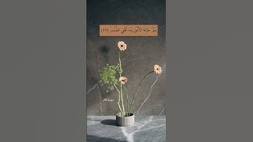 آية ١٩ من سورة غافر | لا تنسوا أن الله قريب عليم