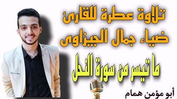 تلاوة عطرة للقارئ ضياء جمال الجيزاوى ما تيسر من سورة النحل #مواهب_قصر_بغداد