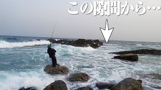 スゴすぎるプロのワザ。わずかな岩の隙間から魚を抜きまくる…本気になった彼の実力に衝撃を受けた件【松永さんと行く青物ツアー⑤〜壱岐島ロックショア 春を満喫しようの回】