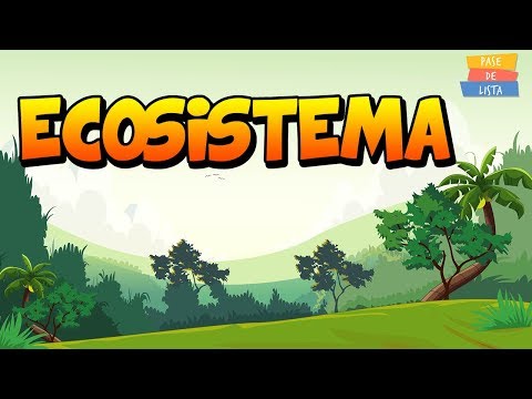 Video: ¿De qué está compuesto un ecosistema?