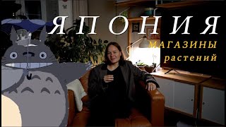 видео: Растения в Японии | 5 фактов и личные впечатления картинка: Растения в Японии | 5 фактов и личные впечатления