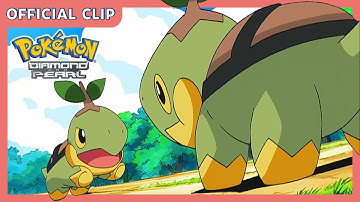Turtwig vs. Turtwig! 💚 | Pokémon: Diamond and Pearl | Official Clip