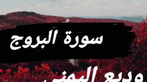 سورة البروج بصوت القارئ وديع اليمني