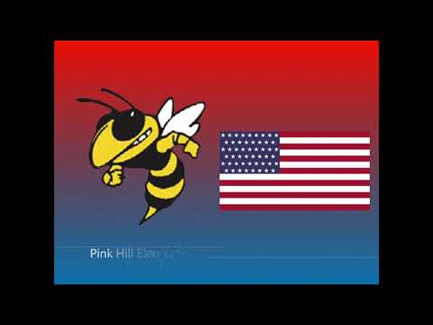 Pink Hill Elementary School, 3rd Place - 2021 "America Is..." Video Content