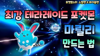 [포켓몬 스칼렛/바이올렛] 초보자를 위한 최강의 테라레이드 포켓몬 마릴리를 만드는 방법!!