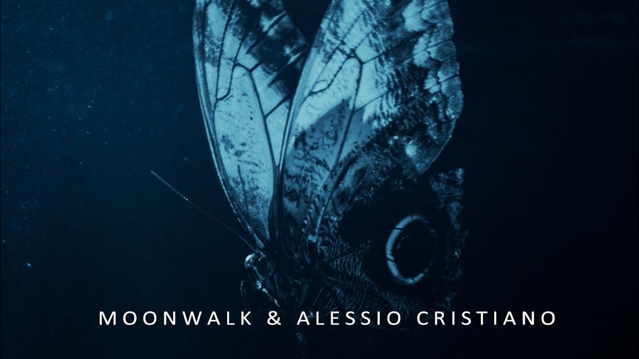 Watch Moonwalk & Alessio Cristiano – Butterfly (Extended Mix) on YouTube Watch Moonwalk & Alessio Cristiano – Butterfly (Extended Mix) on YouTube