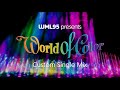 World of color custom single mix