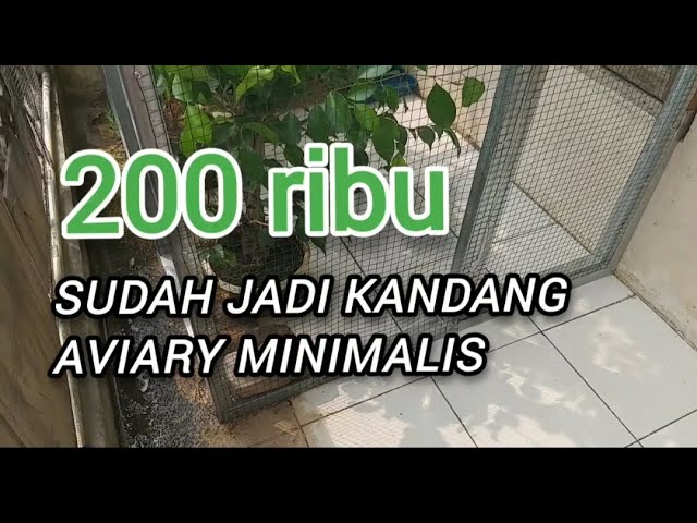 Membuat Kandang Aviari Minimalis, Biaya 200 Ribu Sudah Cukup class=