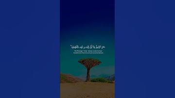 #قرآن | خواتيم سورة البقرة (امن الرسول بما انزل اليه من ربه والمؤمنون..) #سعود_الشريم #quran