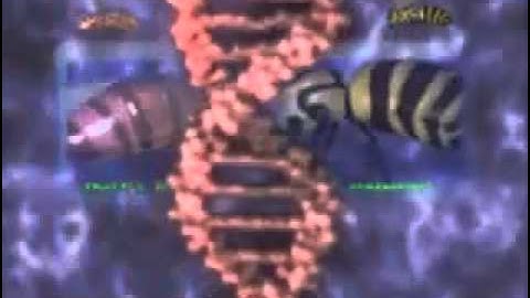 Neo-Darwinism