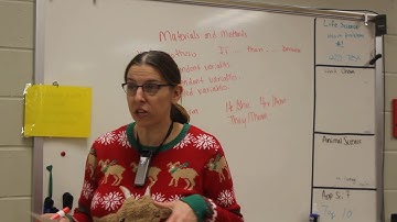 Materials and Methods