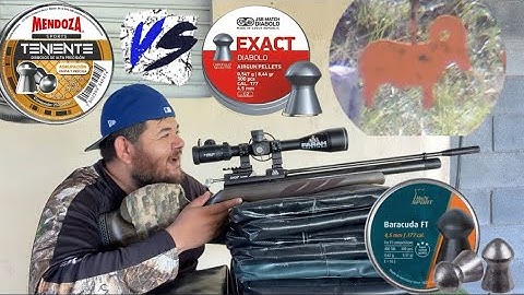 Diabolo (pellet) más Barato vs el más Caro con Rifle PCP #pcprifle #airgun #tirodeaire #smm #rifle