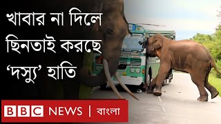 হাতি যখন 'দস্যু', খাবার না দিলে আটকে দিচ্ছে রাস্তা, আক্রমণ করছে গাড়ি। BBC Bangla
