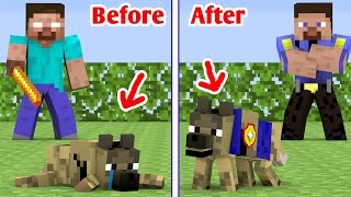 Monster School : Poor Police Dog - Minecraft Animation