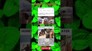 Smokers Crying Funniest