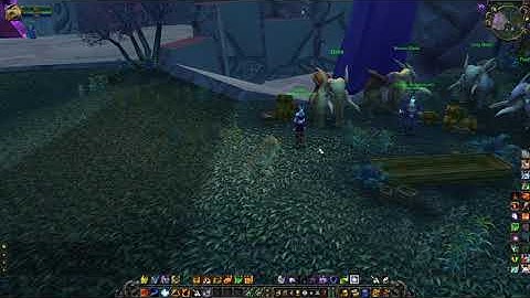 Exodar Riding Trainer Location, WoW TBC (Draenei Riding Trainer)