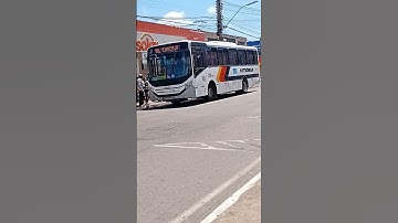 Vip 5 Midi OF-1519 Linha 501 Caucaia / Porto do Pecém Prefixo 036-1520 #busologia #nflopa #ceará