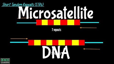 Microsatellite DNA | VNTRs | SSR Markers | Simple Sequence Repeats |