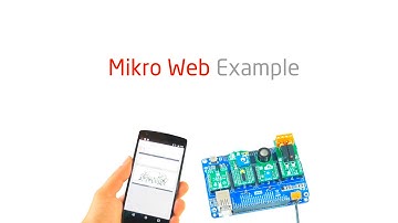 Mikro web - Example