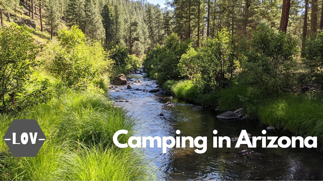 Camping Arizona Three Forks and Black River YouTube