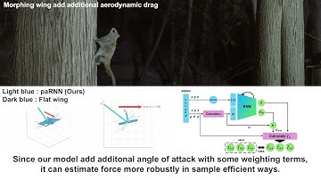 A Highly Maneuverable Flying Squirrel Drone with Agility-Improving Foldable Wings