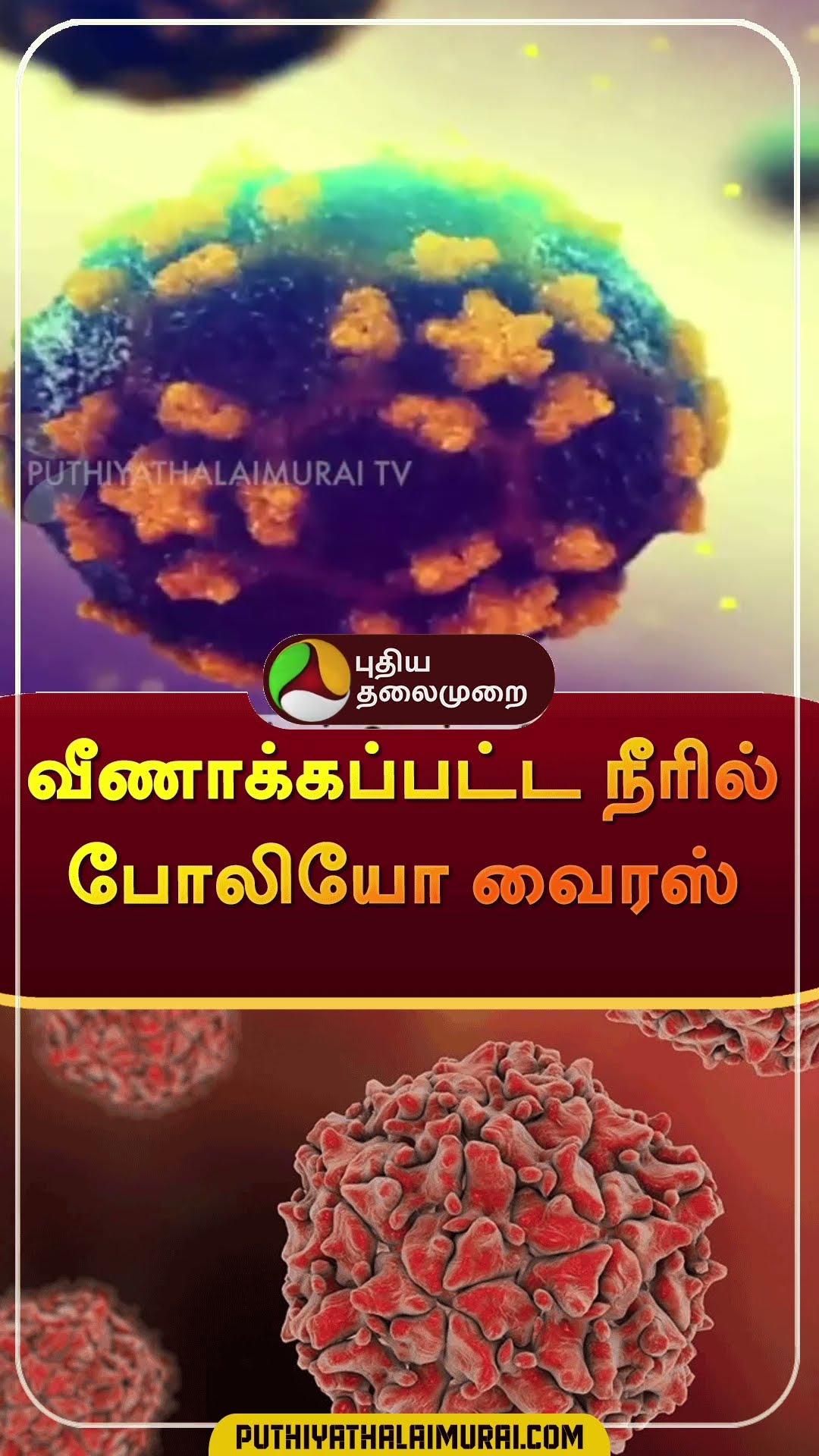 வீணாக்கப்பட்ட நீரில் போலியோ வைரஸ்  | #shorts | #poliovirus | #spain | #germany