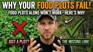 Food Plots Alone—A Costly Mistake Most Hunters Make