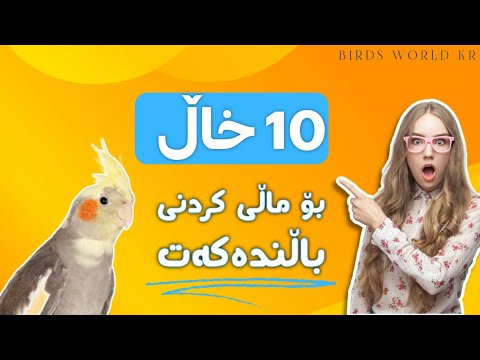 باڵندەکەت ماڵی بکە بەم  ڕێگایە