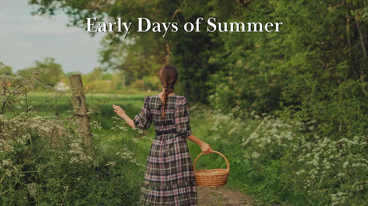 Simple Quiet Days of Early Summer | Foraging & Making Elderflower Cordial | Slow Living in June - DayDayNews