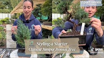 Beginner Bonsai Masterclass: Shaping & Styling a Chinese Juniper Like a Pro 🌲