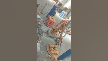 Robotic palletizer