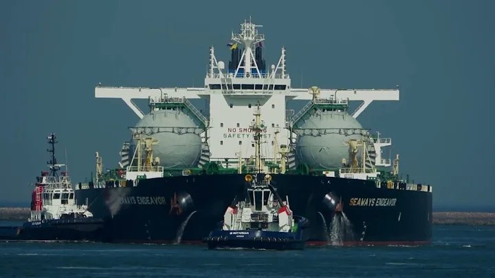 ShipSpotting in Rotterdam, The Netherlands - Part 120 (4K)