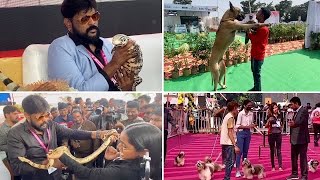 Hyderabad Pet Carnival Show | Chikoti Praveen Kumar Pet Show | Telangana Canine Pet Carnival