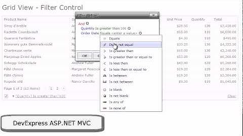 DevExpress ASP.NET MVC Filter Control