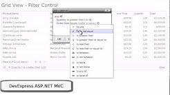 DevExpress ASP.NET MVC Filter Control