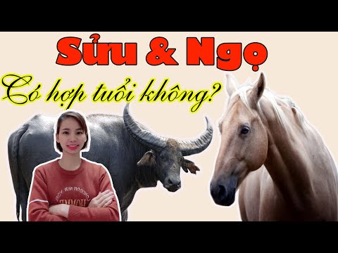 Video: Tử Vi Phương Đông Tương Hợp: Ngọ Và Khỉ