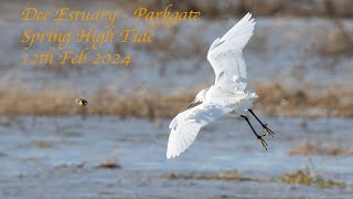 Dee Estuary - Parkgate High Tide - 12th Feb - 2024