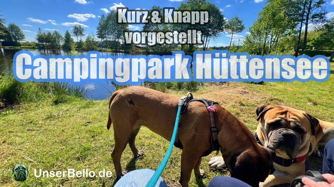Campingplatz mit eingezäunten Parzellen für Hunde in der Lüneburgerheide im Campingpark Hüttensee