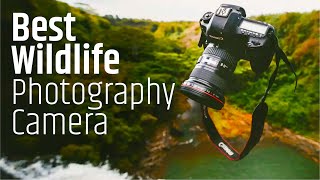 7 Best Wildlife Photography Camera That You Should TRY