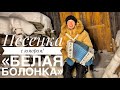 БЕЛАЯ БОЛОНКА || ПЕСЕНКА С ЮМОРОМ || ЦЕЛЫЙ ДЕНЬ Я СИЖУ НА ЦЕПИ ТОНКОЙ || ПЕСНИ ПОД ГАРМОНЬ