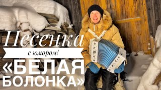 БЕЛАЯ БОЛОНКА || ПЕСЕНКА С ЮМОРОМ || ЦЕЛЫЙ ДЕНЬ Я СИЖУ НА ЦЕПИ ТОНКОЙ || ПЕСНИ ПОД ГАРМОНЬ