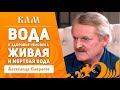 Вода и здоровье человека (2) Александр Саврасов, 2018г. www.slavmir.tv