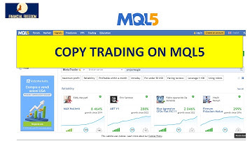 MQL5 Copy Trading Tutorial for beginners: consult our Expert Advisors for free