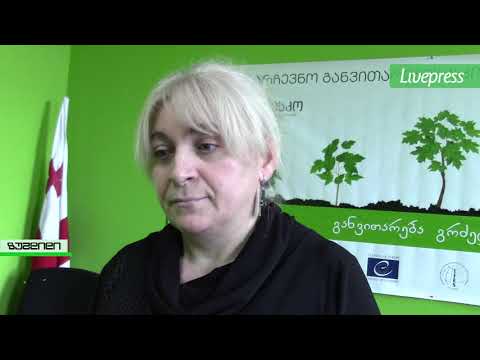 არჩევნები ზუგდიდში