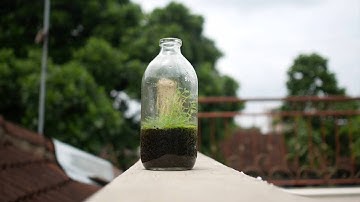 Panasonic Lumix GX85 Full video 4k crop