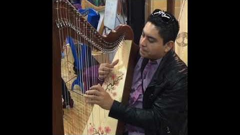 NAMM 2017 Harper on Rees Aberdeen