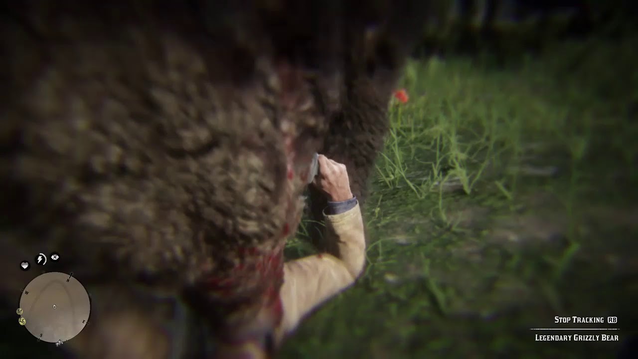 The revenant 2015 online subtitrat