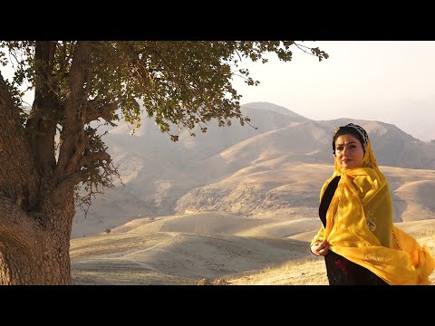 موج آشوب فاطمه رئیسی اردلی با این شعرغوغا به پا کرد 