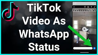 How To Add TikTok Video To WhatsApp Status